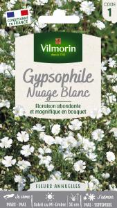 Gypsophile Nuage Blanc